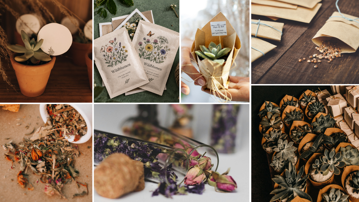 Boho-Gastgeschenke Collage: Mini-Sukkulenten im Tontopf, Saatgut-Tütchen und Trockenblumen im Glas